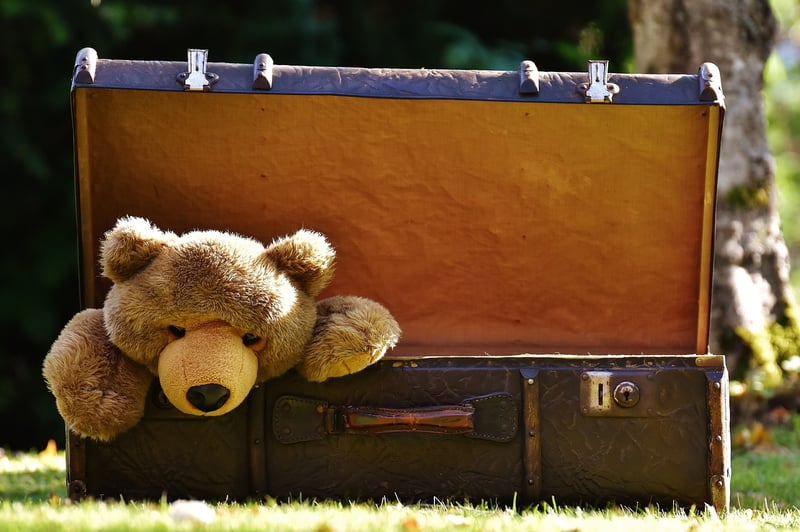 Traveluxe Suitcase